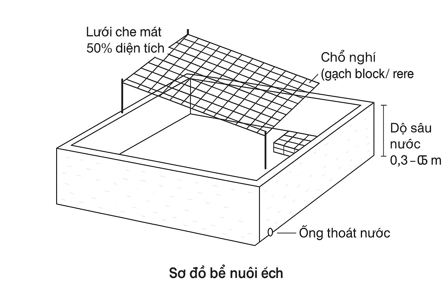 HƯỚNG DẪN KỸ THUẬT NUÔI ẾCH TẠI BẮC BỘ ĐẠT HIỆU QUẢ CAO
